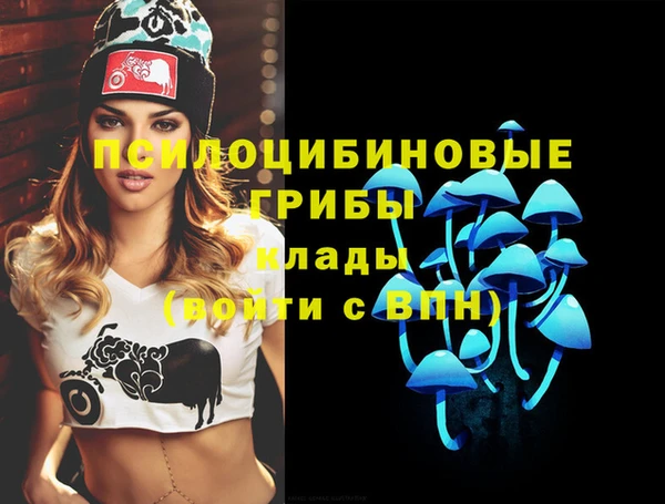 ALPHA PVP Армянск