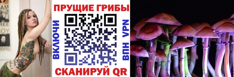 Галлюциногенные грибы Magic Shrooms купить цена Ревда